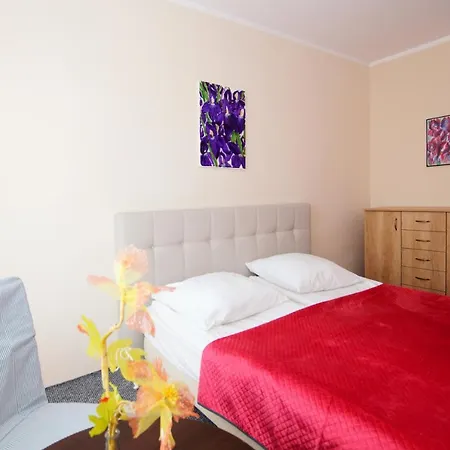 Semesterpark Koral *