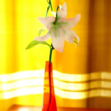 פארק נופש Koral