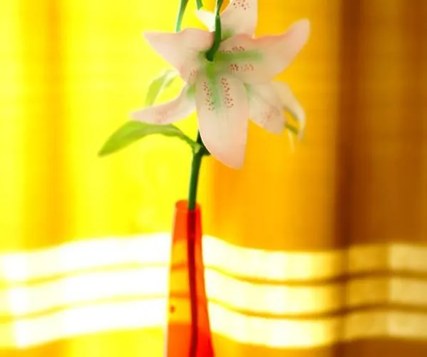 منتزه العطل Koral